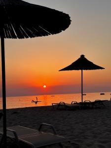 Sea, Salt & Pines- San Pietro Resort Gjiri Lalezit