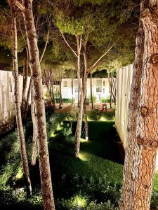 Sea, Salt & Pines- San Pietro Resort Gjiri Lalezit