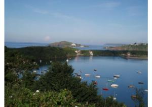 White Horses Bantham South Devon