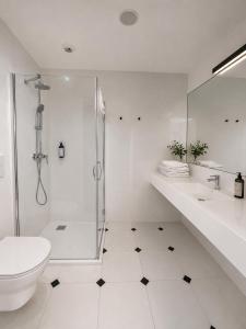 Czarna Perła Apartament Czarna Góra 312