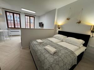 Apartament Dominikański
