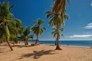 Orangea Beach Resort