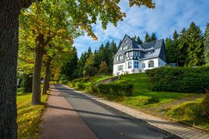 Ahornallee - Erzgebirge