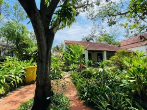 An Bang Seaside Village Homestay