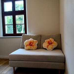 Apartament Oaza Rybaki 12
