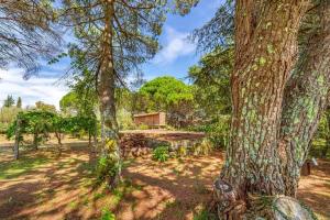 Portugal Active Oliveiras Farm