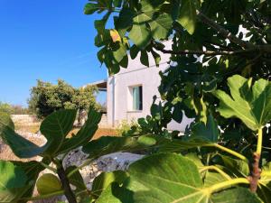 Bellamora Country Apartments