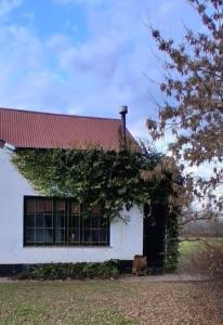 Casa en el campo - casa huéspedes en estupenda chacra de 10 ha