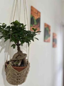 Domus Auri Vatican Boutique Stay