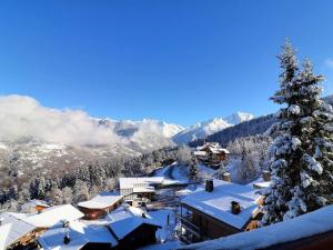 Confortable 2 Pièces avec Balcon, Animaux Admis, Skis aux Pieds - FR-1-182A-9