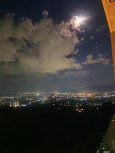 The View 1007