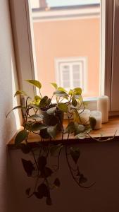 Cozy Corner - Passau