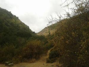aitue ecoaldea