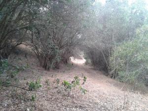 aitue ecoaldea