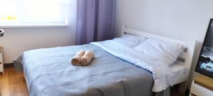 Apartament HETMAN- center