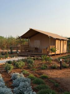 Eutierra living