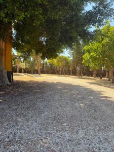 CORTIJO CARRANZA a