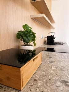 Family Studio at Gerlach Resort, Balcony & Tatras