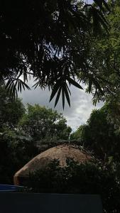 PAUI Eco room