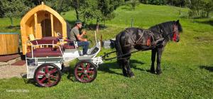 Pilisca Holiday Home