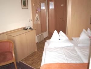 Budget Twin Room room in Hotel Alpenblick