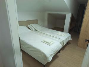Trave Hub Apartments