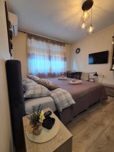 Grey Apartments Zaječar
