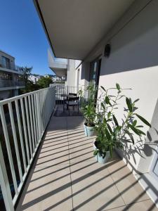 Apartament Szałwia