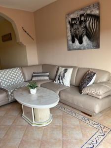 Appartement en résidence + grande terrasse sur le toit