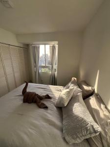 Apartamento familiar con piscina en Porlamar