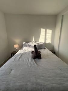 Apartamento familiar con piscina en Porlamar
