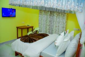 JOSEPHINA LODGE Dodoma