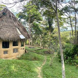 Ecological House in the forest - shared house