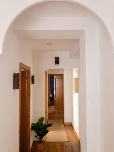 Apartamento Luz de San Basilio