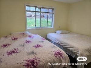 Hammond bay planta house