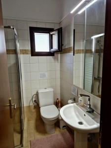 KAMELIA APARTMENT