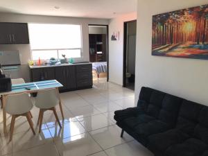 Beautiful Executive Apartment 1