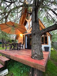 El PINAR CAMPESTRE