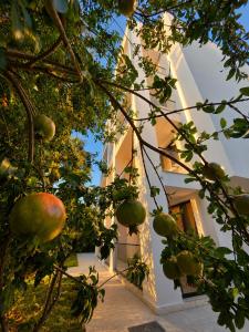 Bedo Boutique Hotel