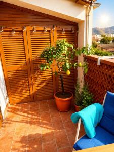 Sunny Apartament with large balcone Parco Scalea 2000
