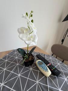 Lovely bright studio on Sunny Beach