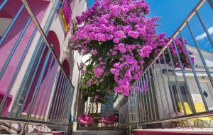 Lovely Apartment In Seget Vranjica With Wifi