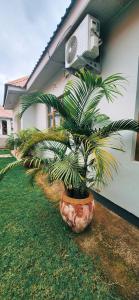 chama haven apartments