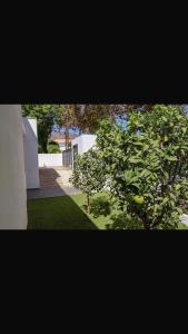 Villa Moderna en Puerto marina