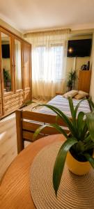 Apartament Okrzei
