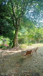 Amica Du Gia Trekking and Homestay