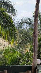 The Serene Manyatta