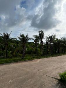 New, beautiful homestay at a reasonable price