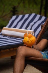 The Secret Coconut Tangalle