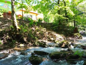 Przystanek Leśna - Apartamenty SPA blisko Kocierza